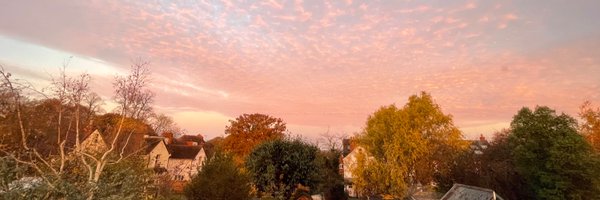 AlisonF_sci Profile Banner