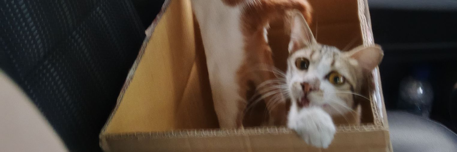 ruperttwts's profile banner image