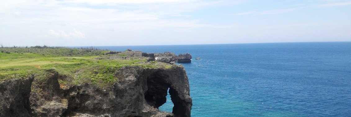 HELL BACK AGAIN banner