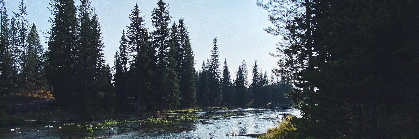 StockStockkk's profile banner image