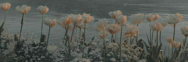 Cherilu_twt Profile Banner