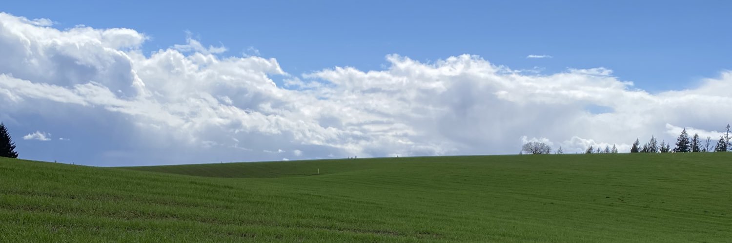 likeawest's profile banner image