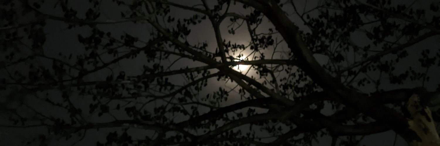 nonaefff's profile banner image