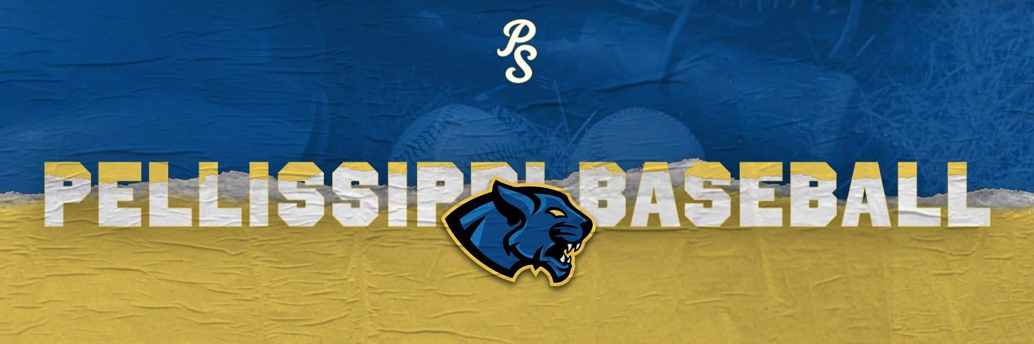 Pellissippi State Baseball's banner