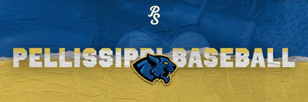 PSCCBaseball Profile Banner