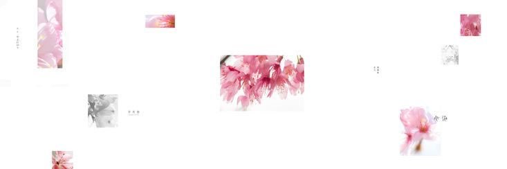 王, Esmé. banner