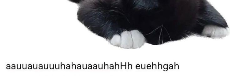 elftones's profile banner image