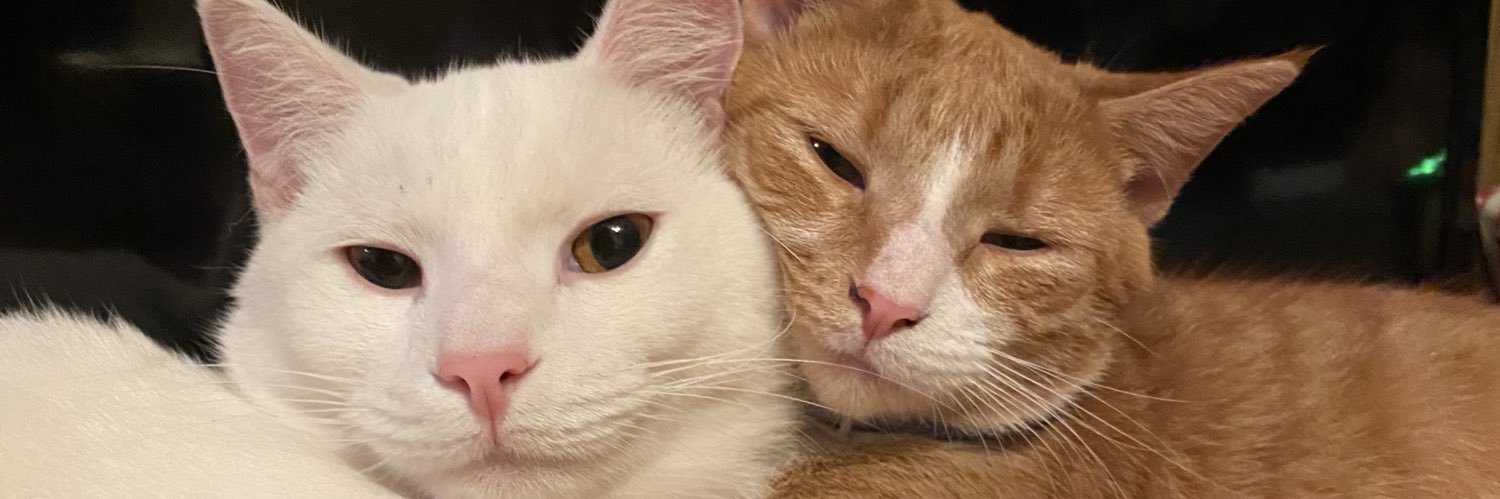 hellswhxre's profile banner image