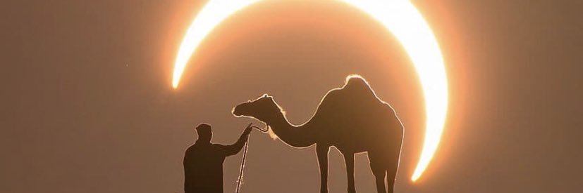 أبوتركي banner