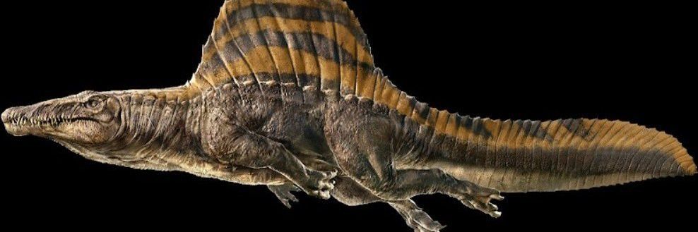 Julia Holtzmann (Rexy's Version) banner