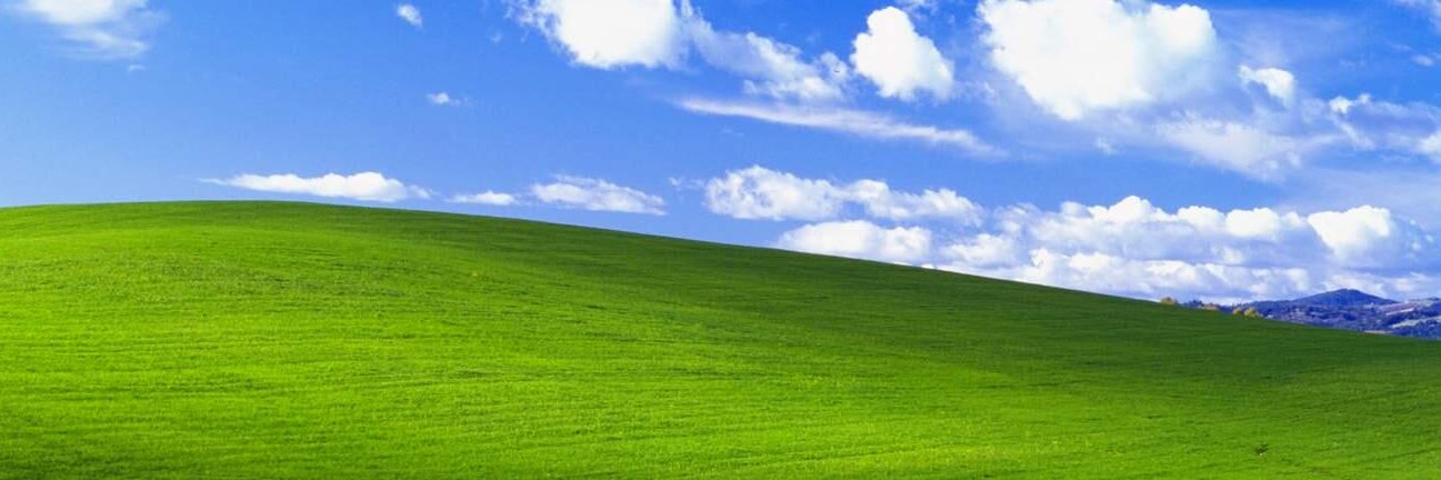 Fox in BlueSky banner