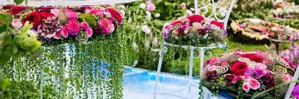 SarahHorne1 Profile Banner