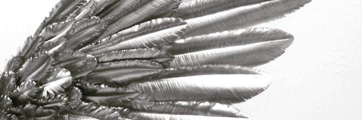 🪽 banner