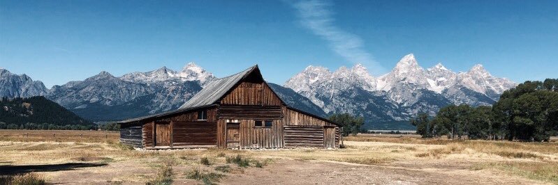 Aviva Luttrell banner