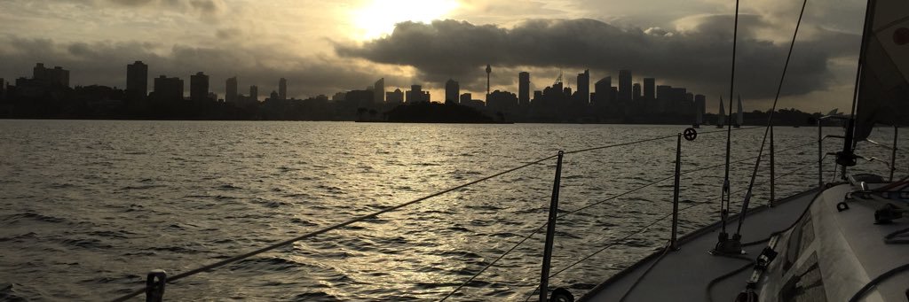 Michael Law (he/him) 💙💛 banner