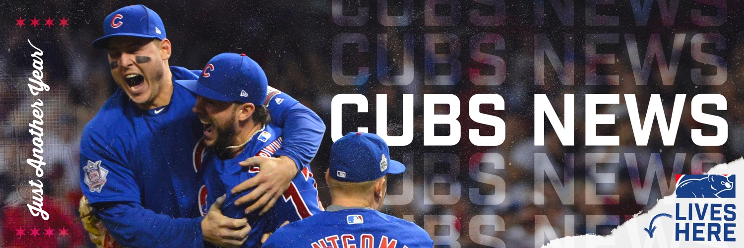 Just Another Year Chicago: Cubs's banner