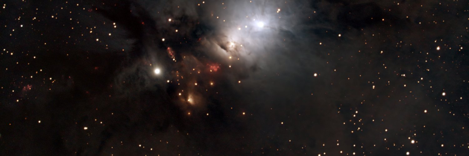 Bill Cavnaugh 🇺🇸 banner