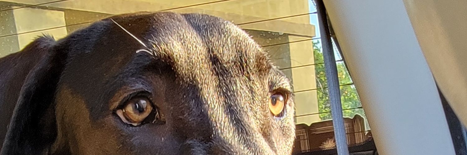 GoJoeyy's profile banner image