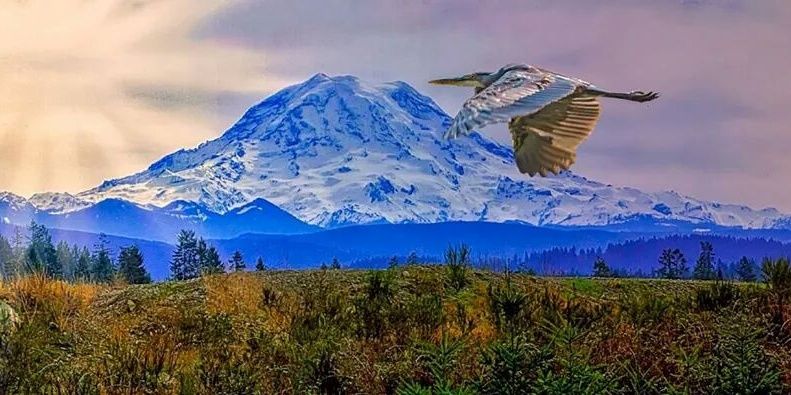 naraniwal's profile banner image