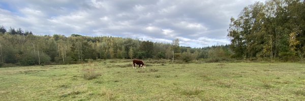 willemoorschot Profile Banner