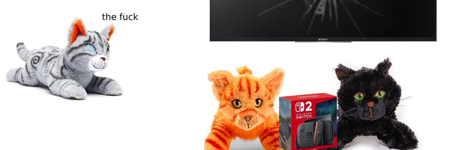 literally jayfeather banner