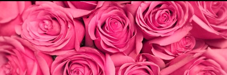 alycekom's profile banner image