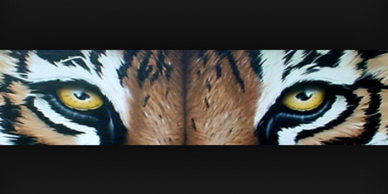 IrvingStuCo's profile banner image