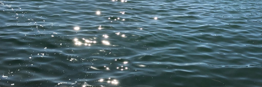banjoz's profile banner image