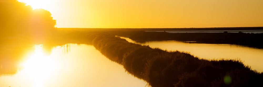 GeorgePlanas's profile banner image