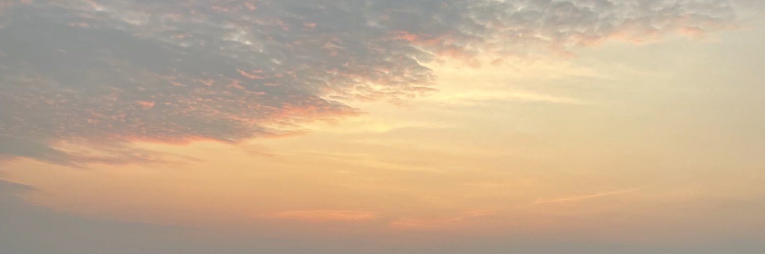 芝麻芋圆🍡 banner