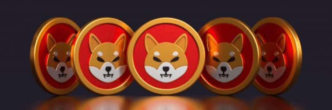 SHIB ALERTS banner