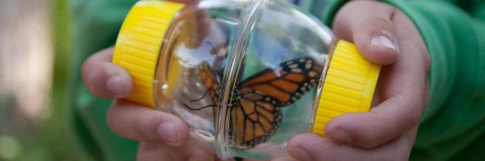 WauwatosaSTEM's profile banner image