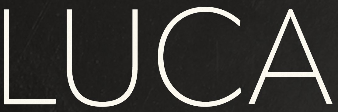 LucaSarzin's profile banner image