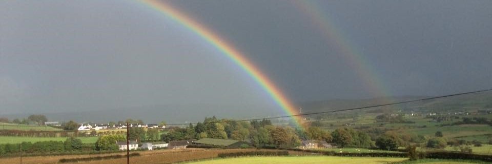 smcnulty's profile banner image