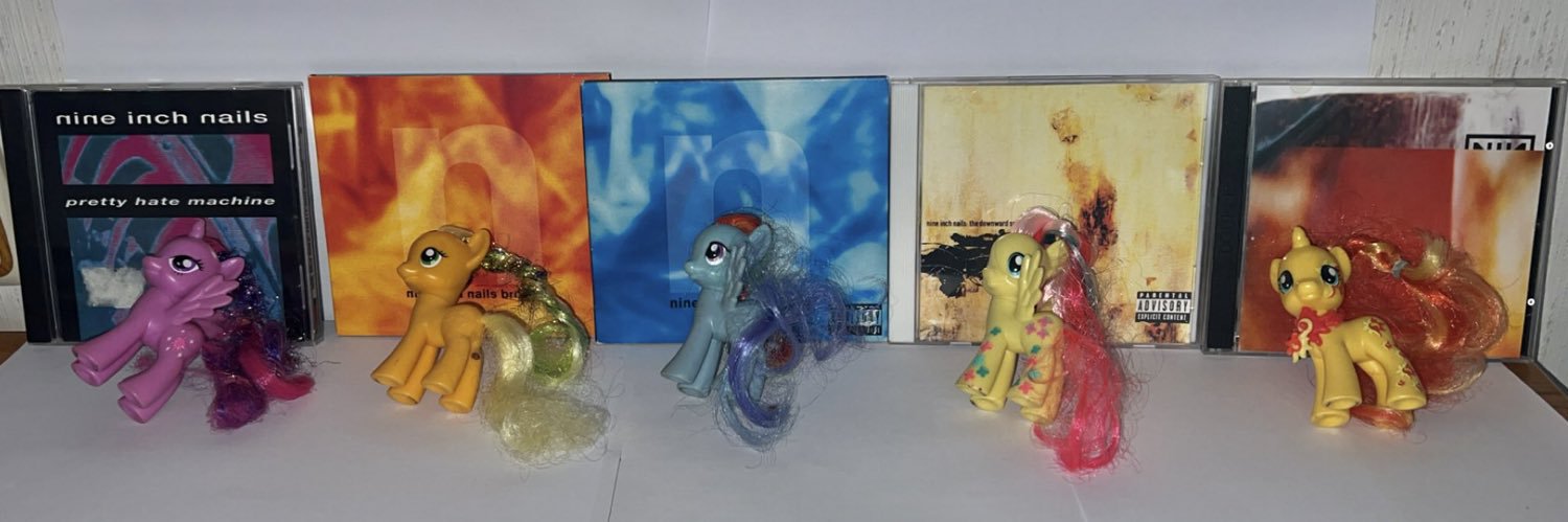 roxy is scared banner