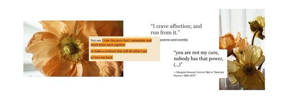 snowrcher Profile Banner