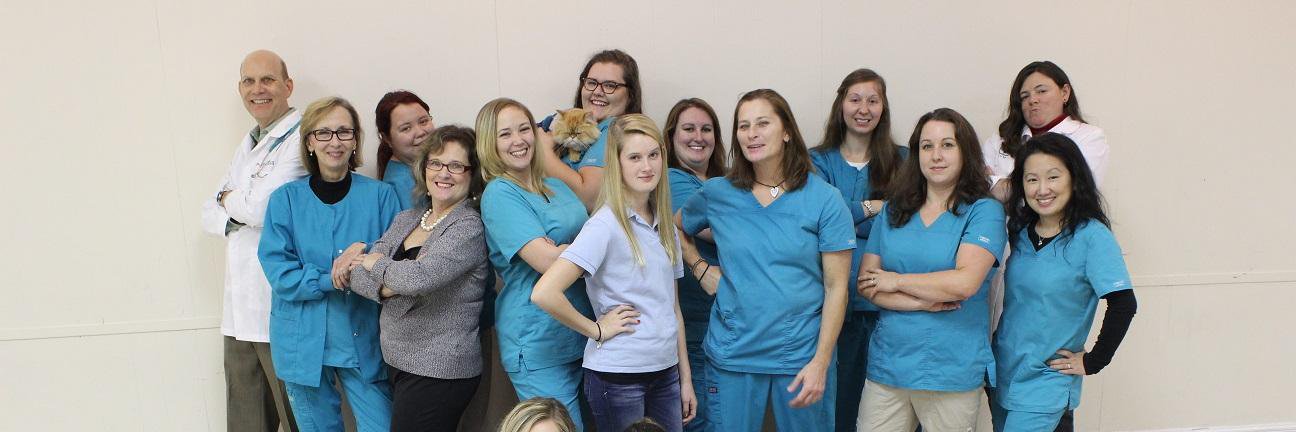WilkinsonVets's profile banner image