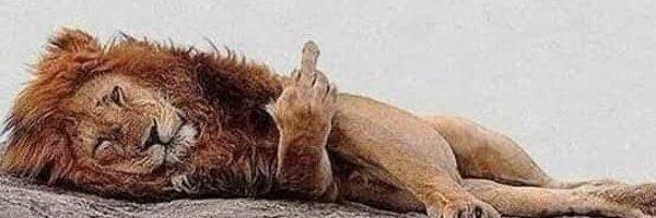 DeepDenken05 Profile Banner