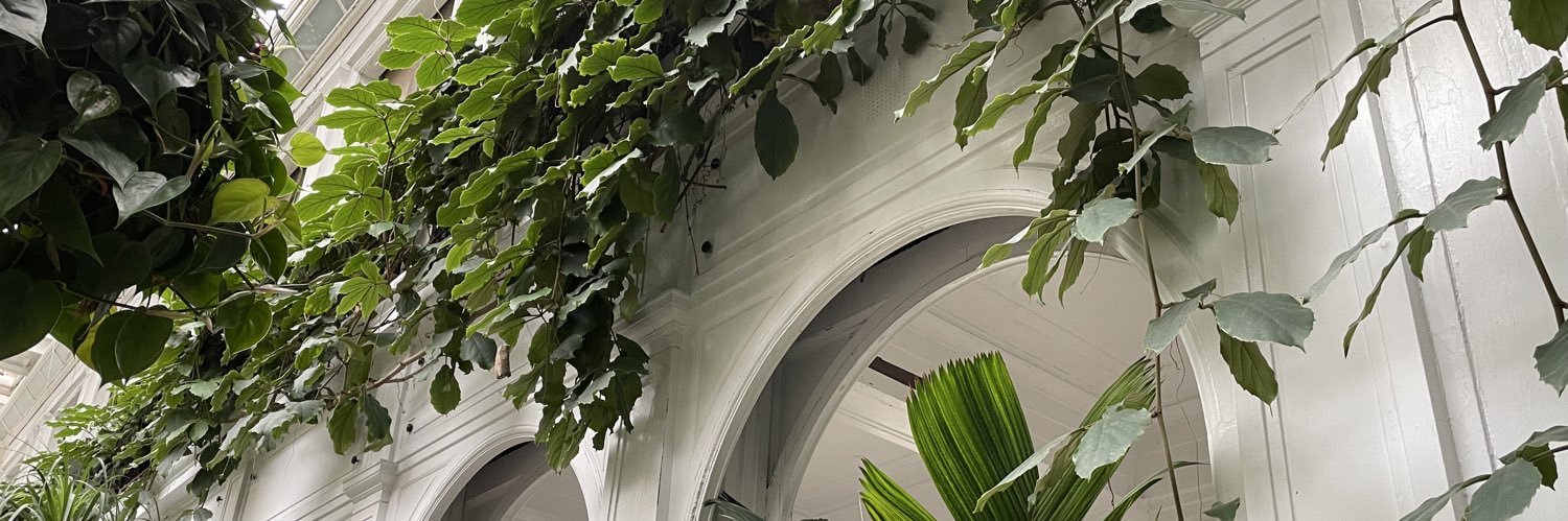 lzzzbt's profile banner image
