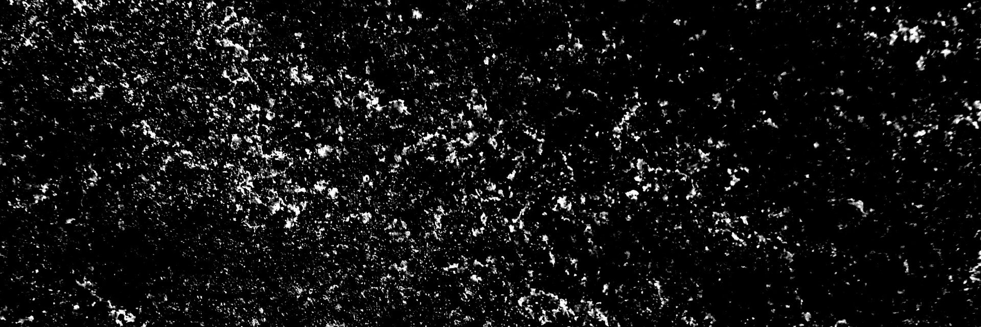 eeesong's profile banner image