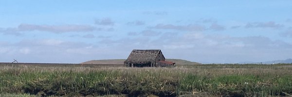 JimHobbs Profile Banner