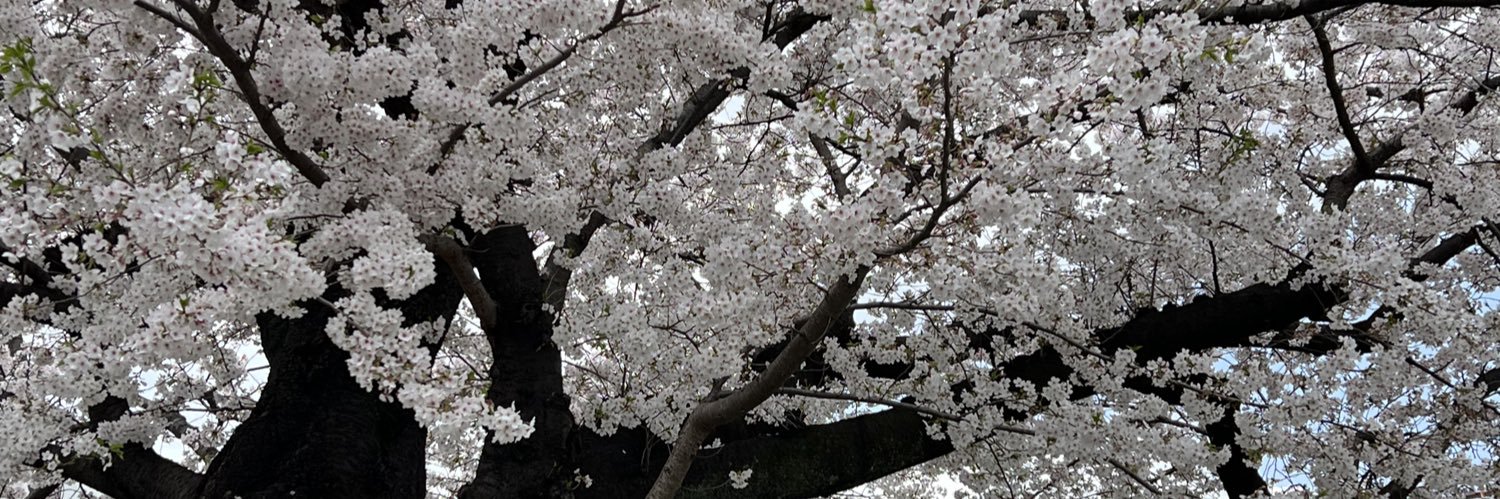 うえき banner