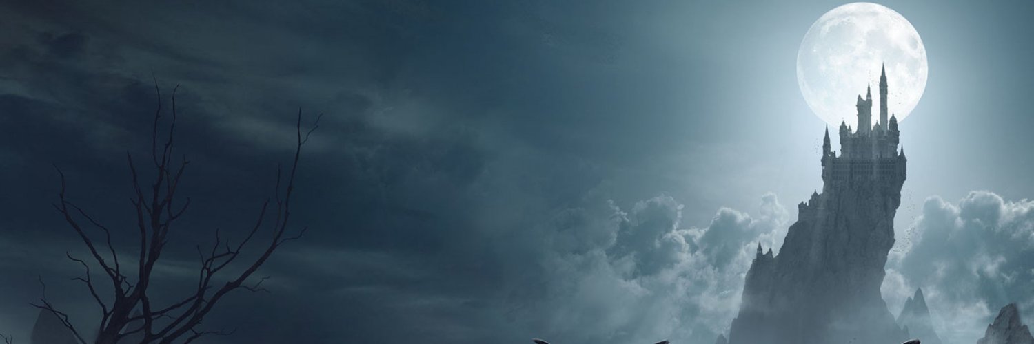 vanhe0x's profile banner image