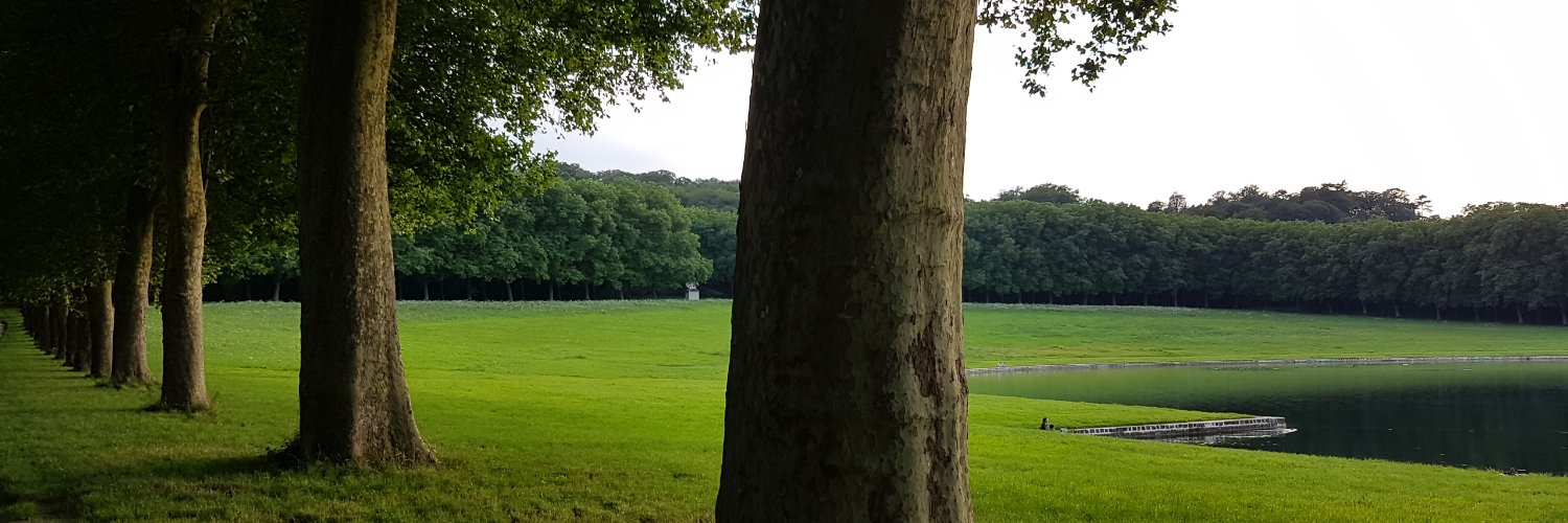 Louis XIV Roi Soleil banner