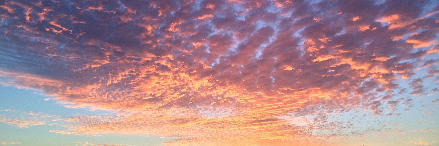 JennieCal's profile banner image