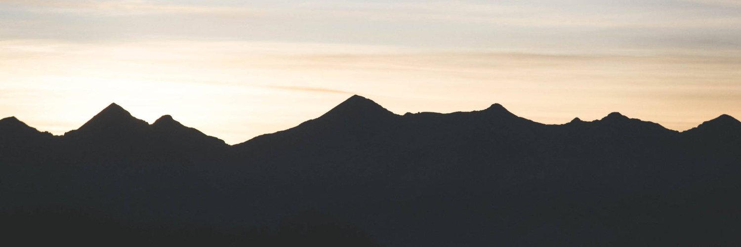 Tao. banner