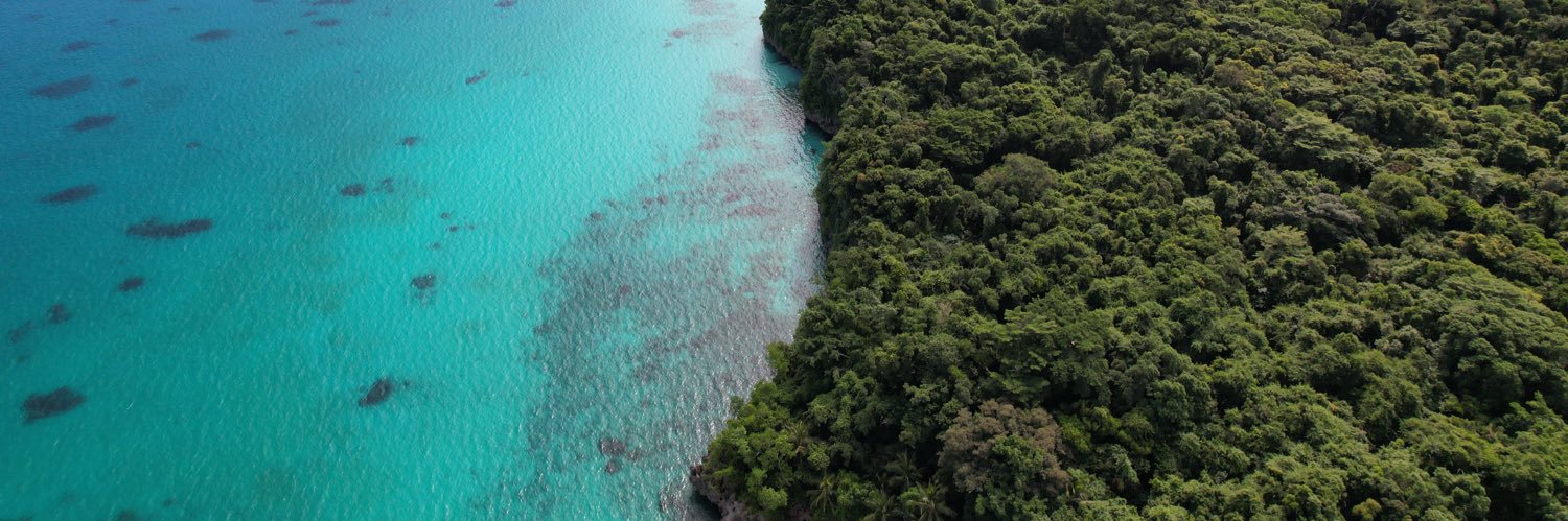 Clément Bardou banner