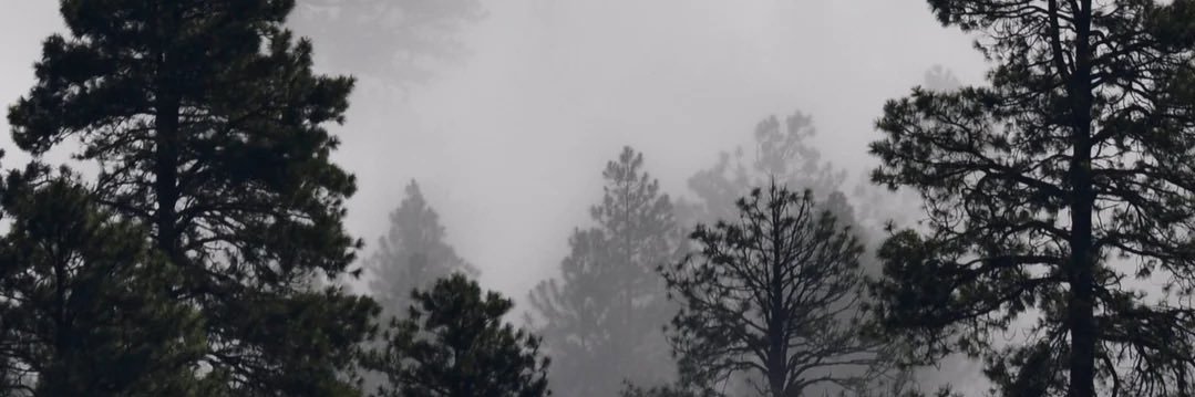 Sp3czz's profile banner image