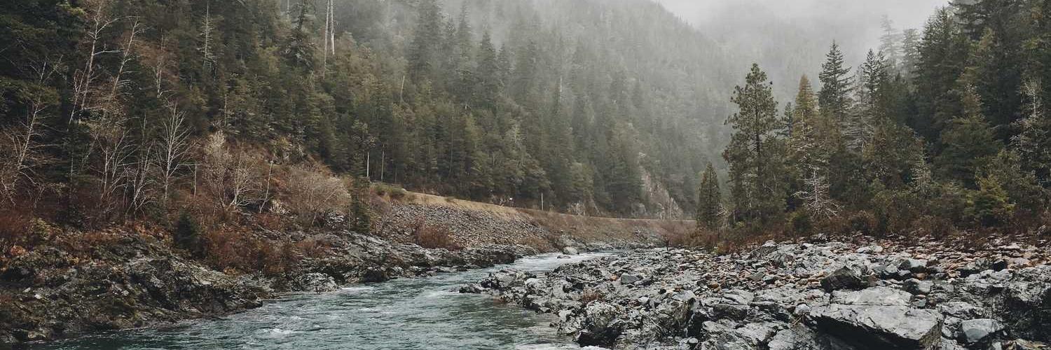 mieazmie90's profile banner image