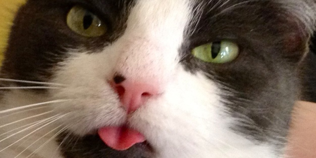 Stephen O'Donnell banner